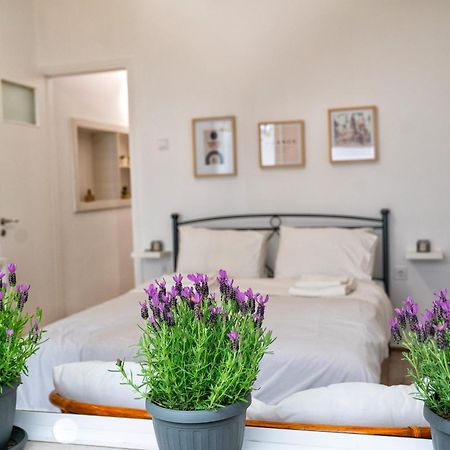 Lux Garden Apartment Near Acropolis In The Heart Of Athens Exterior photo