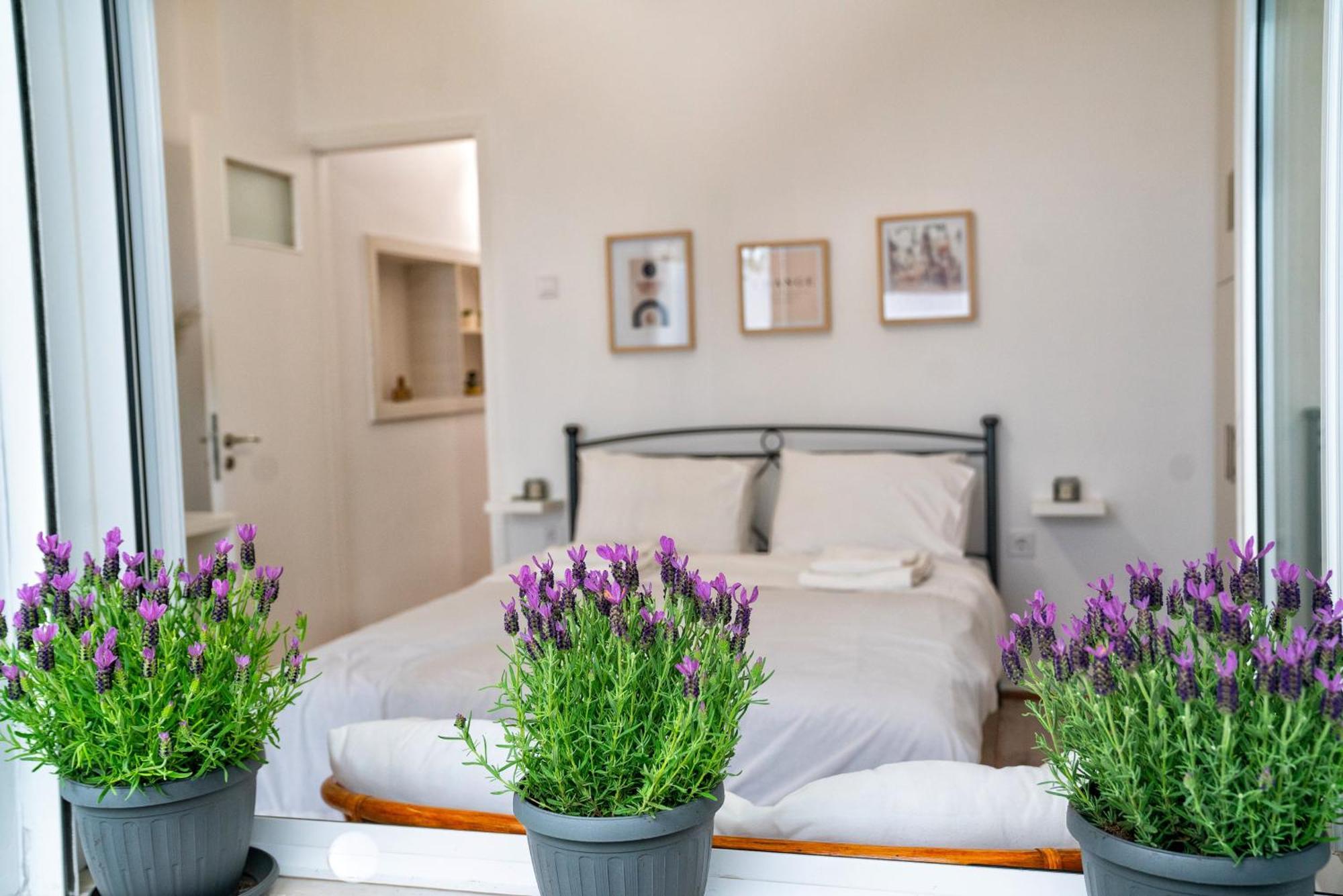 Lux Garden Apartment Near Acropolis In The Heart Of Athens Exterior photo
